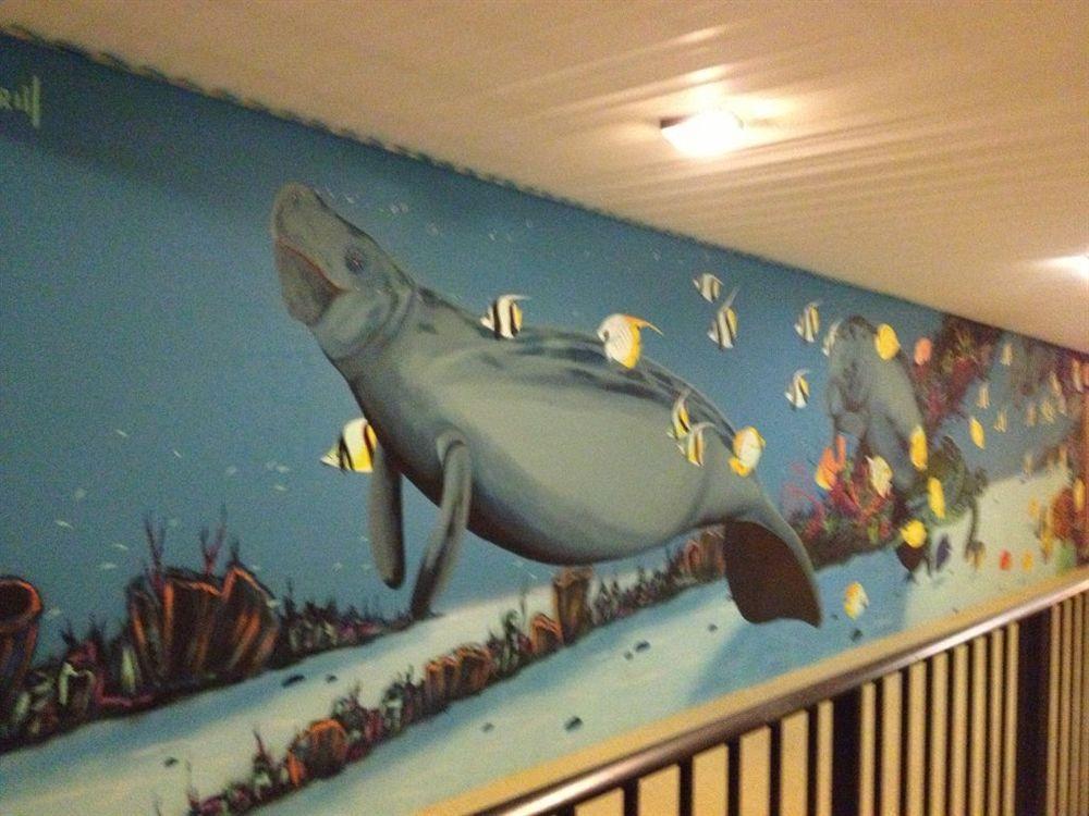 Dolphin Key Resort - Cape Coral Kültér fotó